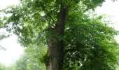 Trail On foot Sprimont - Sprimont Promenade n°5 - Photo 10
