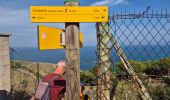 Tocht Stappen Cerbère - Cerbère Pyrénées Orientales - Photo 12