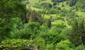 Tour Wandern Mont-Dore - grande cascade du Mont-Dore - Photo 6