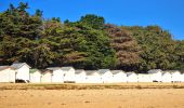 Tocht Te voet Noirmoutier-en-l'Île - Jeun et rando J3 Centre ville plage des dames - Photo 10