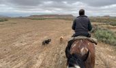 Tocht Paardrijden Bardenas Reales de Navarra - Bardenas jour 6 - Photo 14