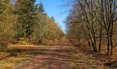 Trail Walking Retheuil - en forêt de Retz_76_dans les forêts de Retz et de Compiègne - Photo 6