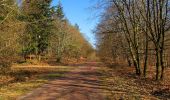 Tocht Stappen Retheuil - en forêt de Retz_76_dans les forêts de Retz et de Compiègne - Photo 6