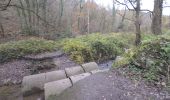 Tocht Te voet Hoei - 01-12-19 13:42:57 - Photo 3