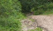 Tocht Stappen Les Granges-le-Roi - Forêt domaniale de Dourdan  - Photo 5