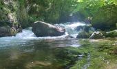 Trail Walking Thuès-Entre-Valls - Carança entre amis - Photo 2