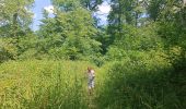 Percorso Marcia Coye-la-Forêt - Boucle Forêt de Coye - Photo 2