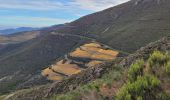 Trail Walking Collioure - Col de Mollo La Madeloc_T - Photo 2