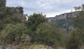 Tour Wandern Vallon-Pont-d'Arc - cascade possevielle - Photo 5