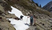 Trail Walking Vallorcine - refuge de la pierre à Berard - Photo 5