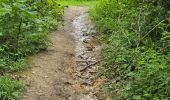 Tocht Stappen Les Granges-le-Roi - Forêt domaniale de Dourdan  - Photo 9