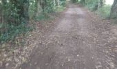 Trail Walking Val-de-Vie - Ste  Foy de Montgommery - Photo 5