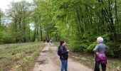 Trail Walking Nassogne - Grune - Photo 4