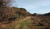 Trail Walking Pernes-les-Fontaines - pernes 84  les terres mortes  - Photo 2