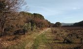 Randonnée Marche Pernes-les-Fontaines - pernes 84  les terres mortes  - Photo 2