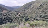 Excursión Senderismo Corbère-les-Cabanes - cerbère chapelle sa t père del bosc - Photo 10