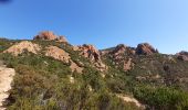 Excursión Senderismo Saint-Raphaël - Cap Roux  - Photo 4