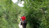 Tocht Paardrijden Broto - Parc National d’Ordessa J2 pm Oto-Torla - Photo 4