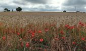 Tocht Stappen Vernoil-le-Fourrier - Vernantes  - Photo 6