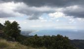 Tocht Stappen Collioure - Tour de Madaloc - Photo 6