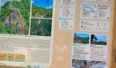 Trail Walking Mazamet - Mazamet passerelle  - Photo 5
