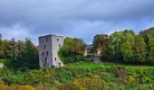 Tour Wandern Beaumont - Balade à Beaumont - Photo 13