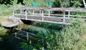 Tocht Te voet Gomadingen - Nebenweg des Schwäbischen Albvereins (gelbe Gabel) - Photo 7