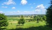 Randonnée Marche Meix-devant-Virton - Gerouville 060723 - Photo 8