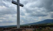 Tour Wandern Oberehnheim - 240628 - Obernai - VVF-Nordberg - Photo 1