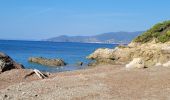 Excursión Senderismo La Croix-Valmer - Le cap Lardier - Photo 2