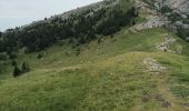 Trail Walking Lans-en-Vercors - Pic Saint-Michel et col d'Arc Vercors - Photo 9