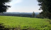 Tour Wandern Malmedy - La cascade du Bayehon  - Photo 17