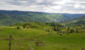 Trail Walking Gérardmer - les bas rupts.  Roche bioquets  - Photo 3