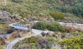 Trail On foot Unknown - Te Araroa - 04 Whanganui - b Mangatepopo to National Park - Photo 1