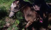 Percorso Equitazione Saint-Léger-de-Rôtes - rando  equestre st leger de roste - Photo 4