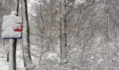 Trail Walking Laguiole - Bouyssou sous la neige  - Photo 6