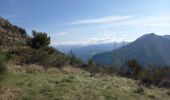 Trail Walking Utelle - Le Brec d'Utelle 1604m 19-04-22 - Photo 12