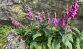 Trail Walking Cauterets - Ileou-Pont d’Espagne - Photo 2