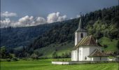 Tocht Te voet Clos du Doubs - Montvoie - Ocourt - Photo 3