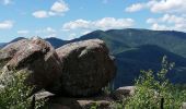 Randonnée Marche Oberhaslach - Le petit Ringelberg - Photo 12