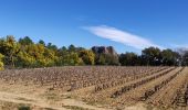 Percorso Marcia Roquebrune-sur-Argens - Roquebrune 25 ponts - Photo 3