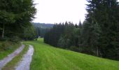 Excursión A pie Weidenberg - Sophienthal Rundwanderweg Nr. 1 - Photo 8