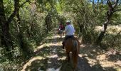 Trail Horseback riding Simiane-la-Rotonde - Provence 2025 J4 - Photo 3