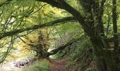 Excursión Senderismo Herbeumont - RSIH - Herbeumont - La Châtelaine - Photo 3