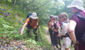 Tocht Stappen Valbonnais - Tour de Belle Roche - Photo 5