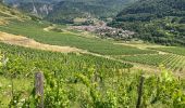 Trail Walking Cerdon - Cedron  - Photo 8