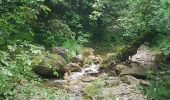 Tour Wandern Touët-de-l'Escarène - TOUET  - Photo 1