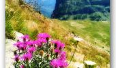 Tour Wandern Freissinières - Lac de Palluel, Faravel et Fangeas Via Dormillouse - Photo 8