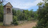 Trail Walking Nans-les-Pins - De Nans les pins vers les sources de l'Huveaune - Photo 19