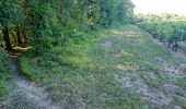 Trail Walking Reugny - Reugny - Vignes et Brenne - Photo 4